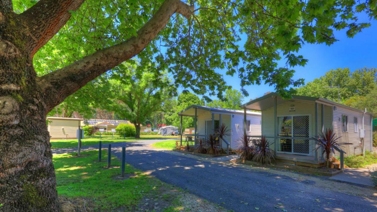 Myrtleford Holiday Park エクステリア 写真